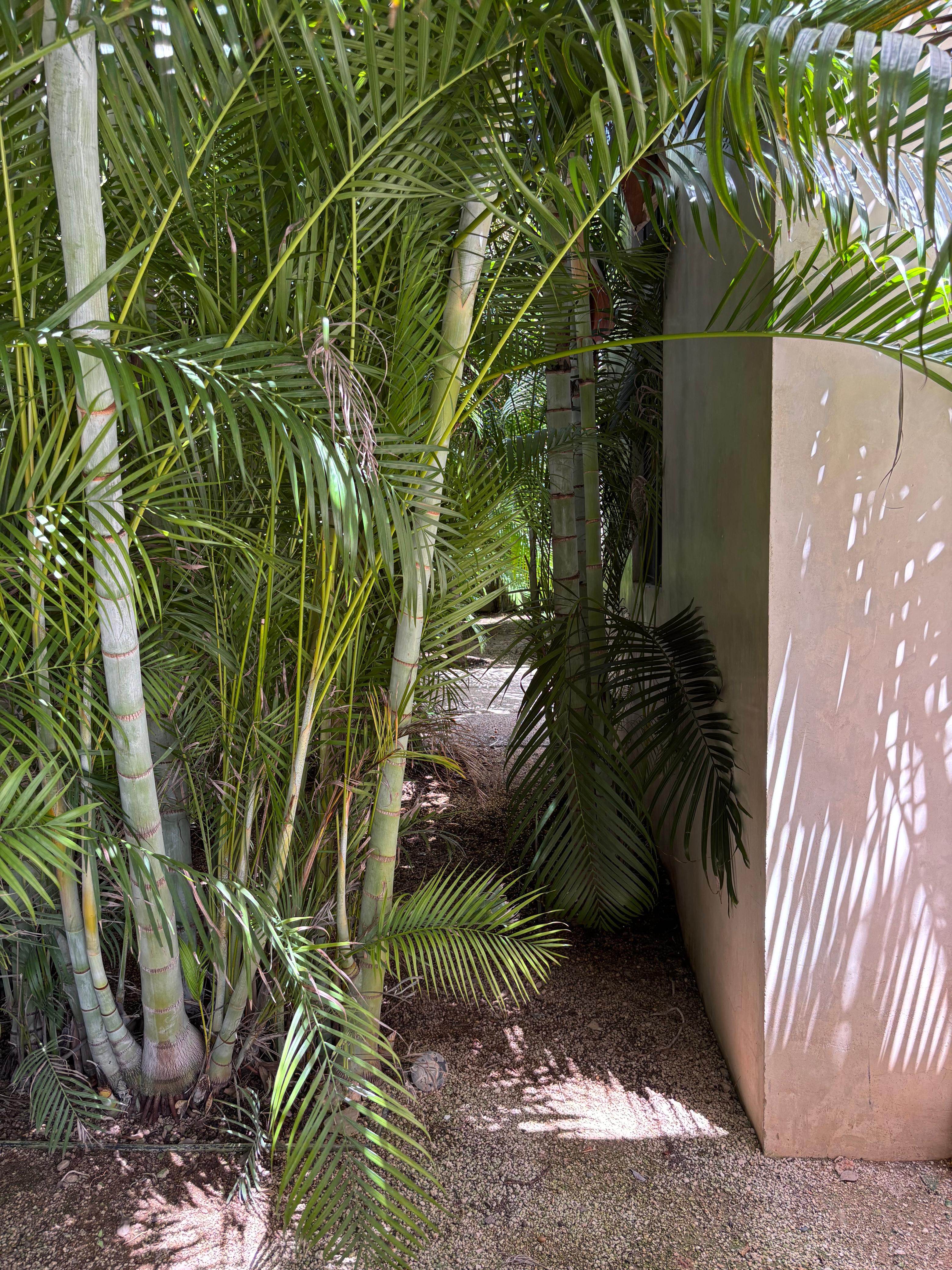 Hermosa Casa con Piscina en Paseo Country