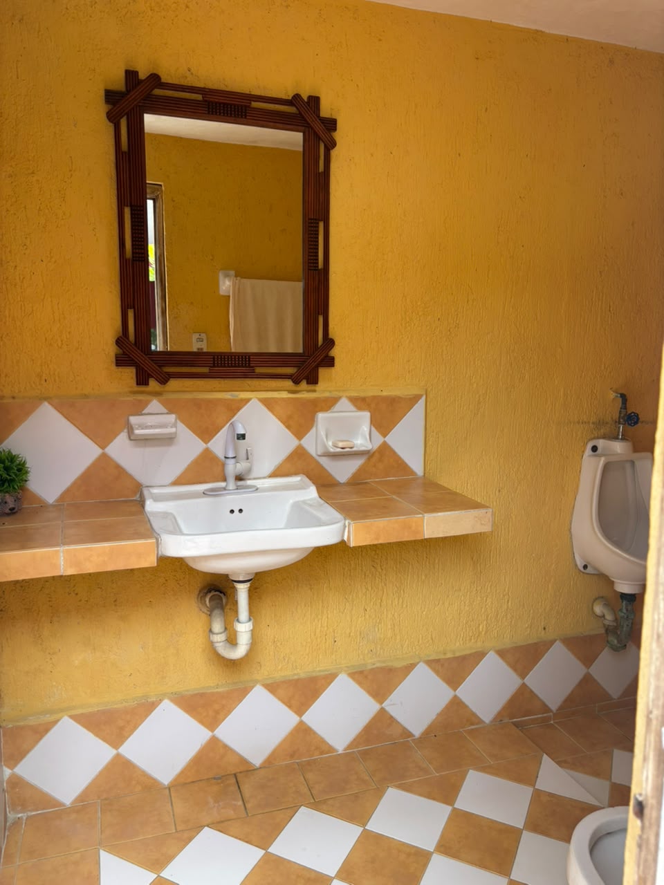 Casita Amueblada en Santa Ana