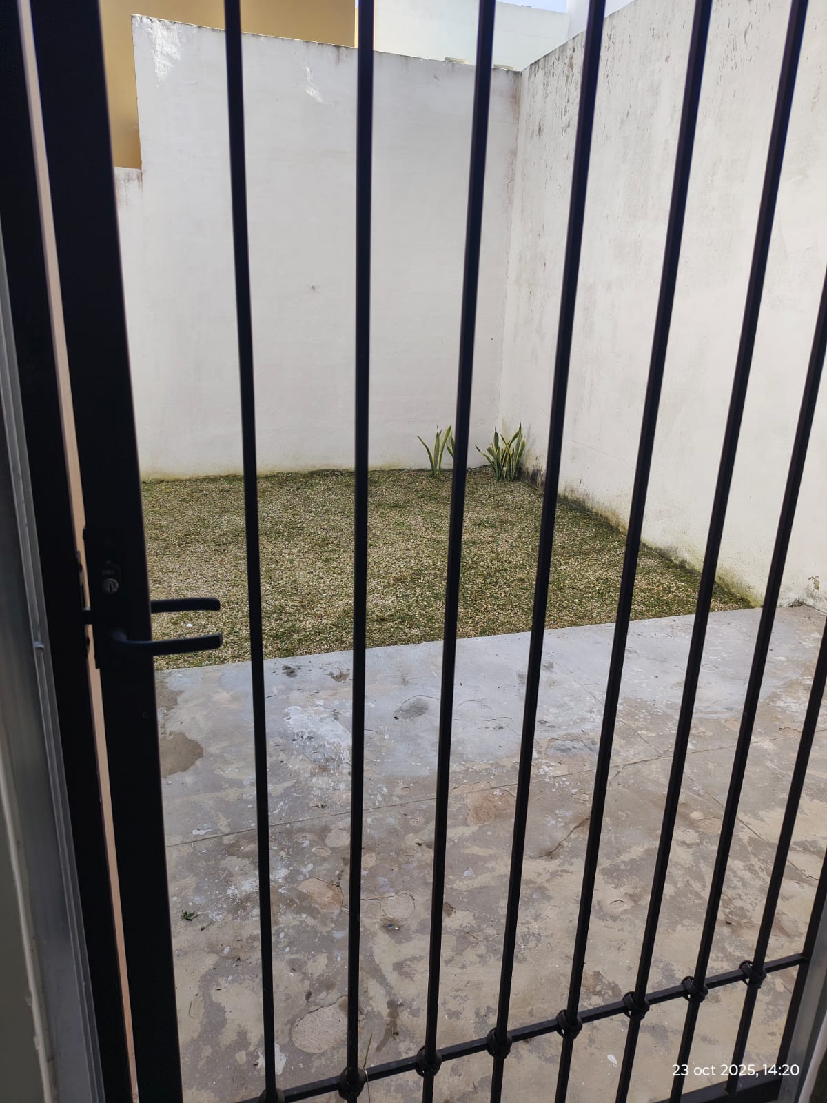 Gran San Pedro Cholul