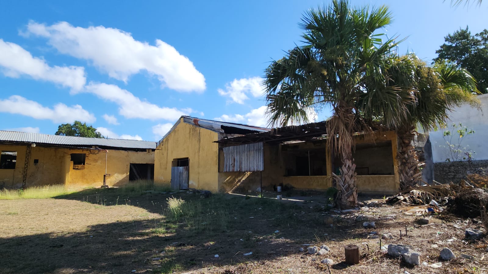 5,000 sq m. in Centro!