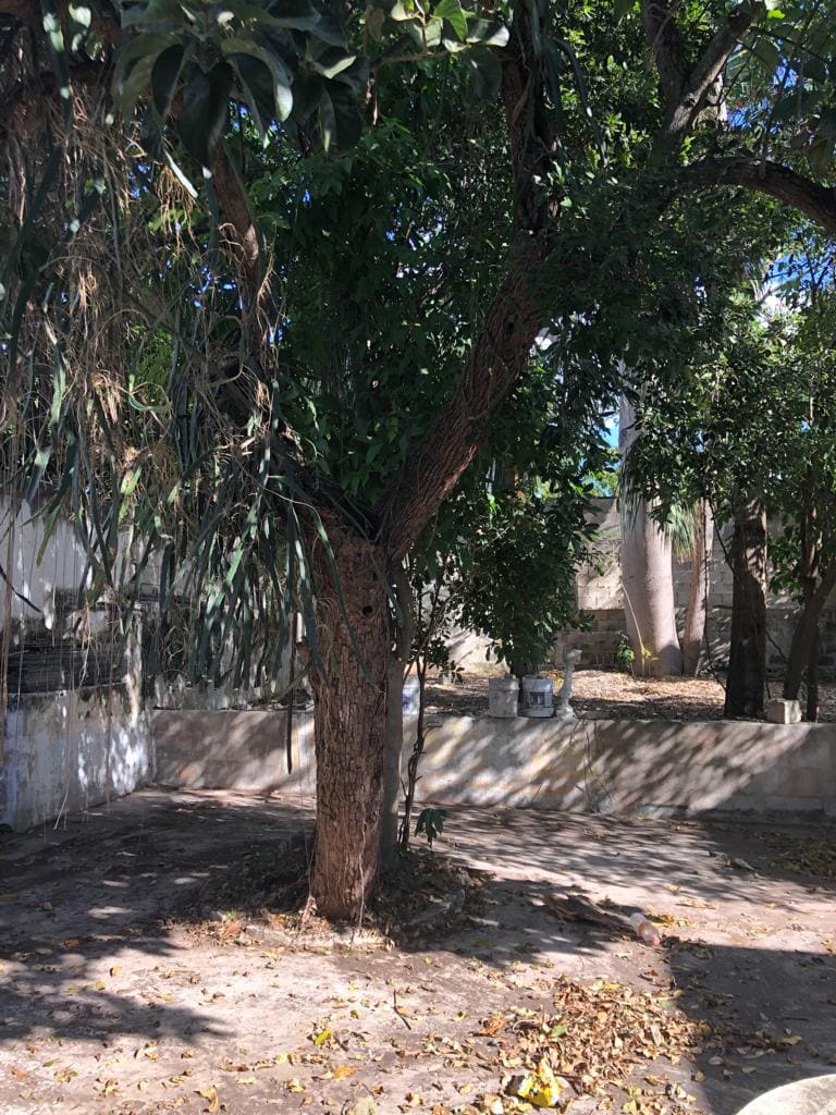 Excellent Property in the Mejorada Neighborhood.