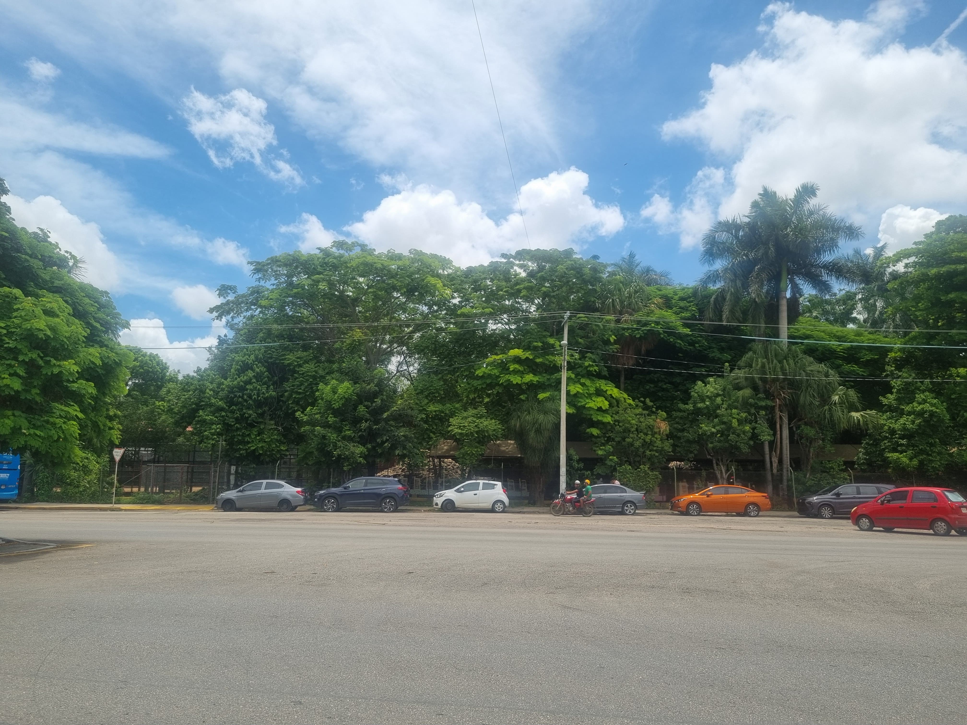 Close to the Zoo