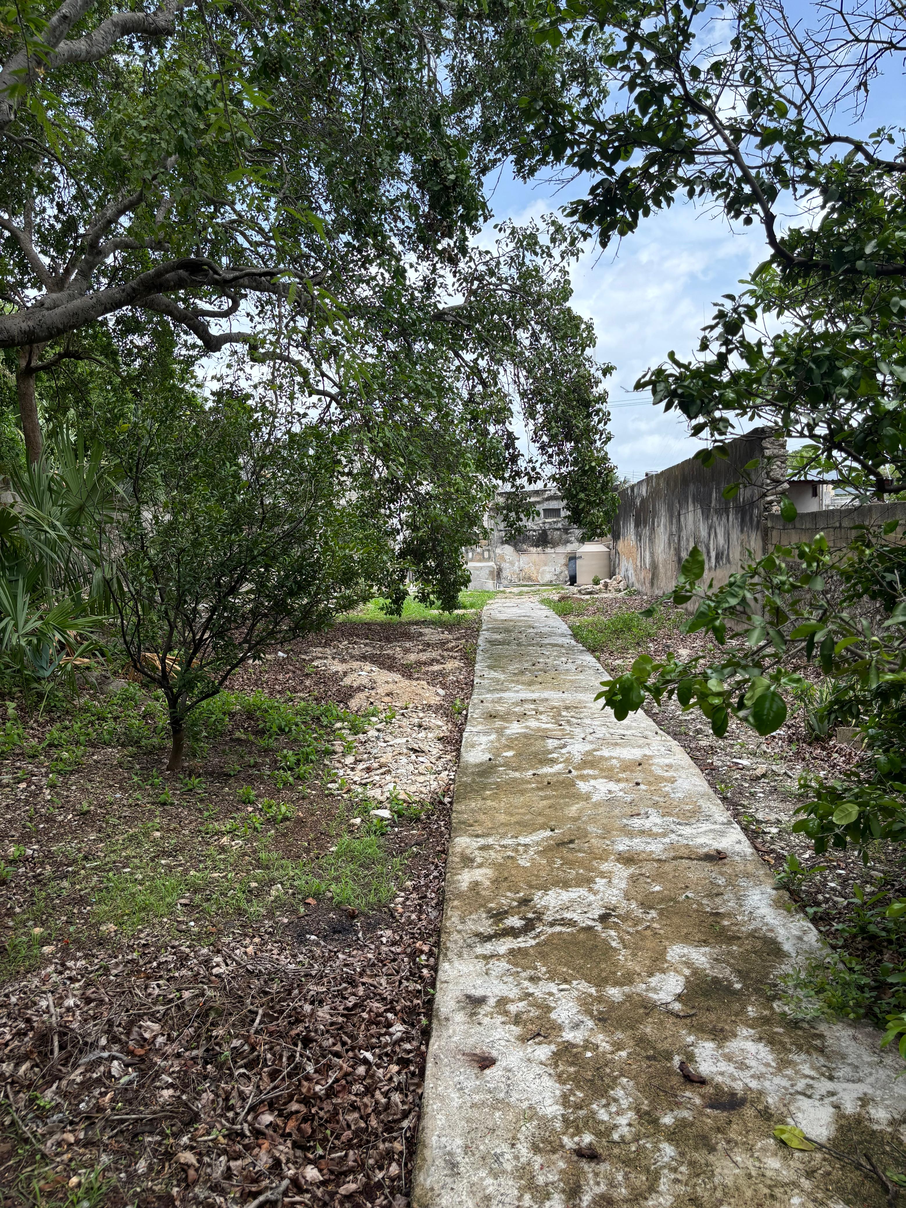 House to remodel one block from La Plancha