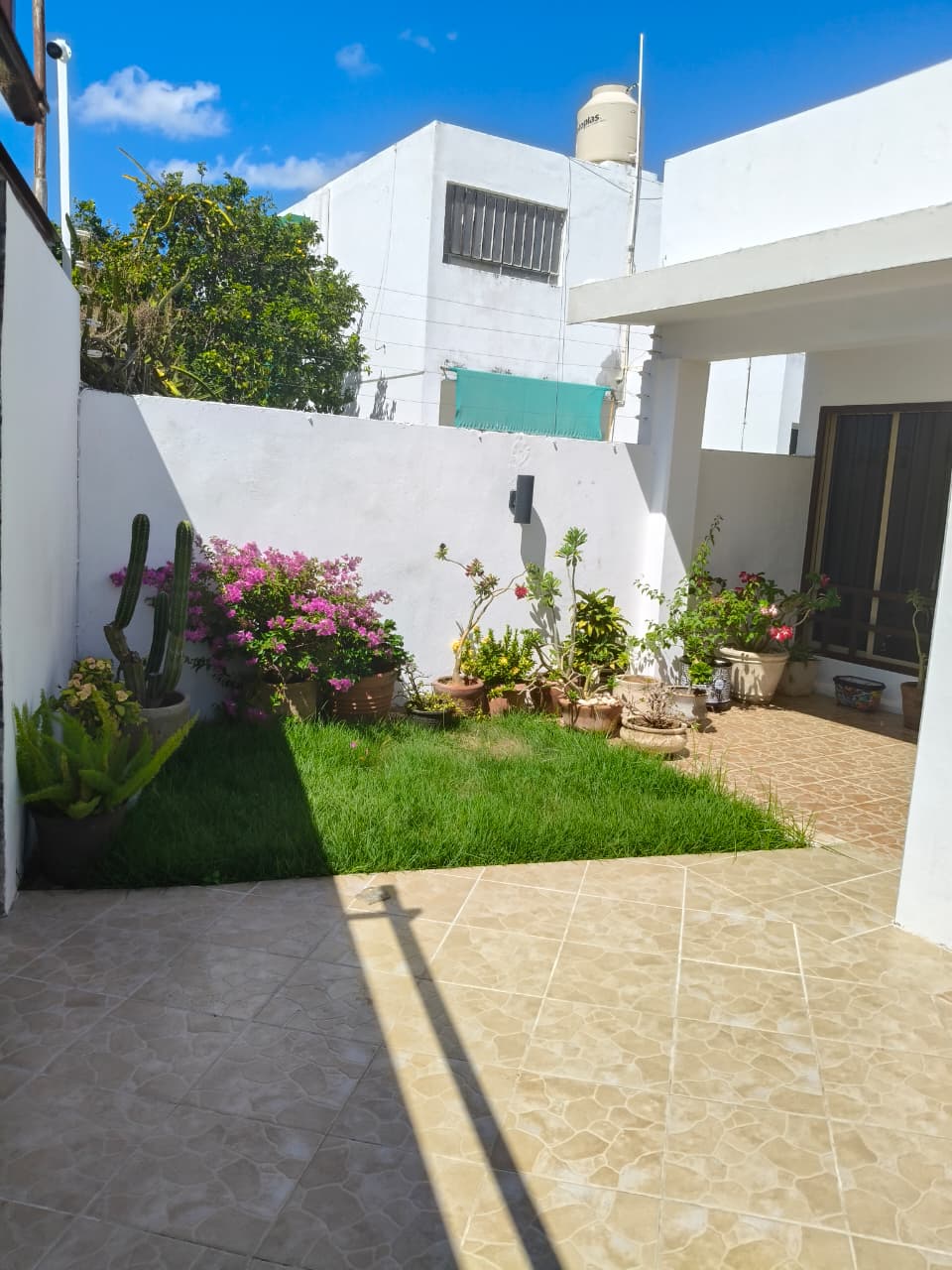 Con Alberca en García Ginerés