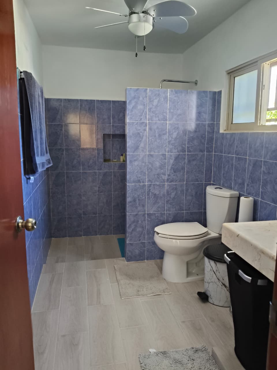 Con Alberca en García Ginerés