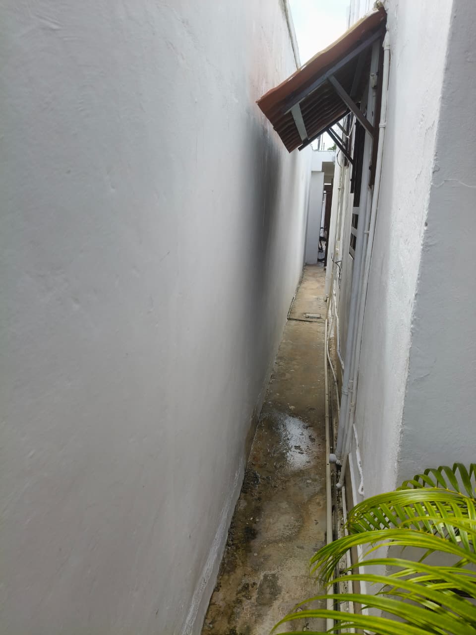 Con Alberca en García Ginerés