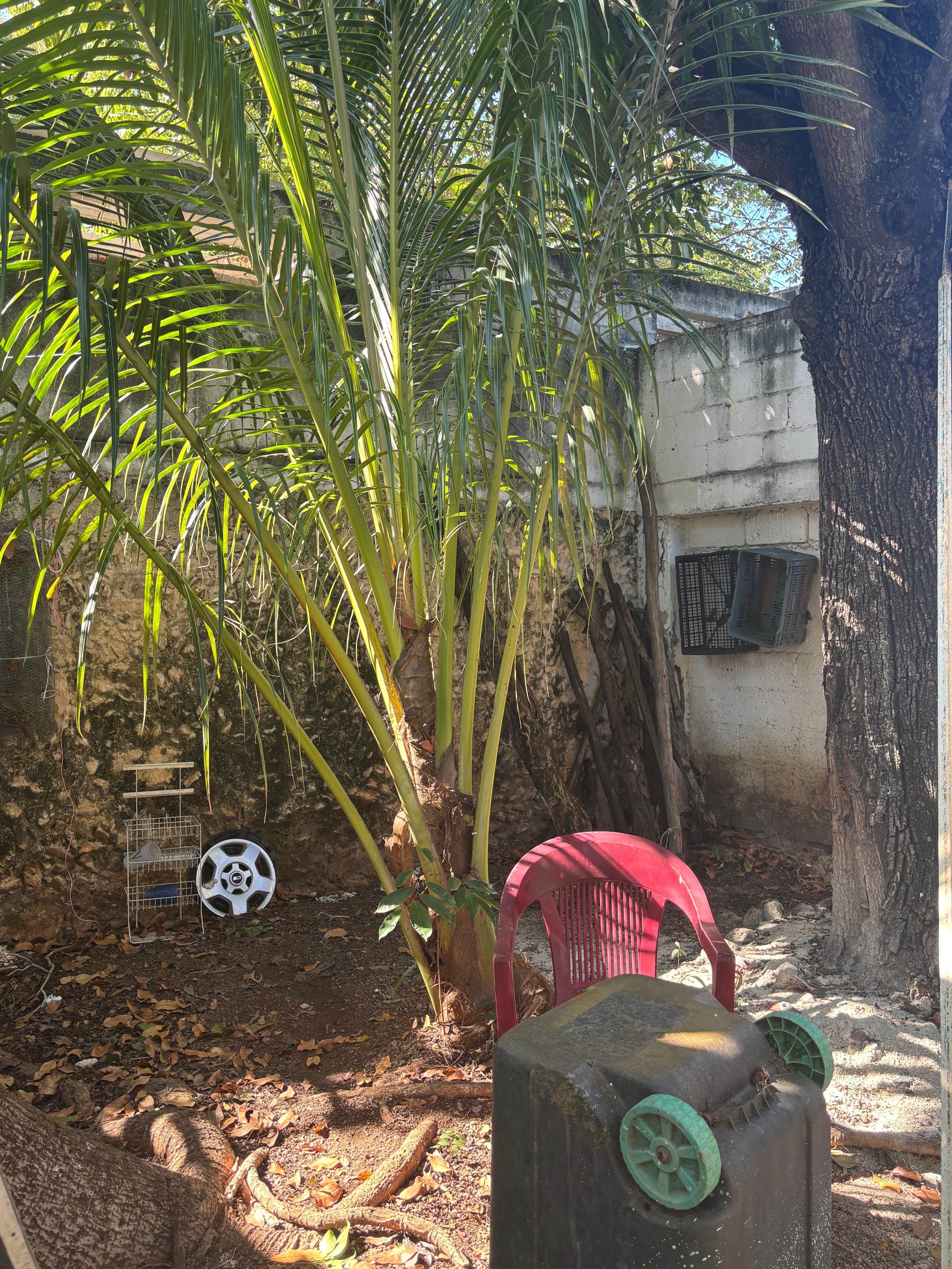 One-story and 3-bedroom in Itzimná