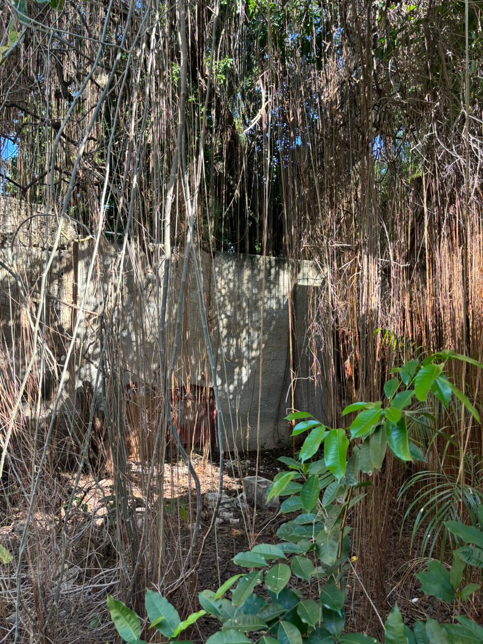 House to Restore in Santa Lucía