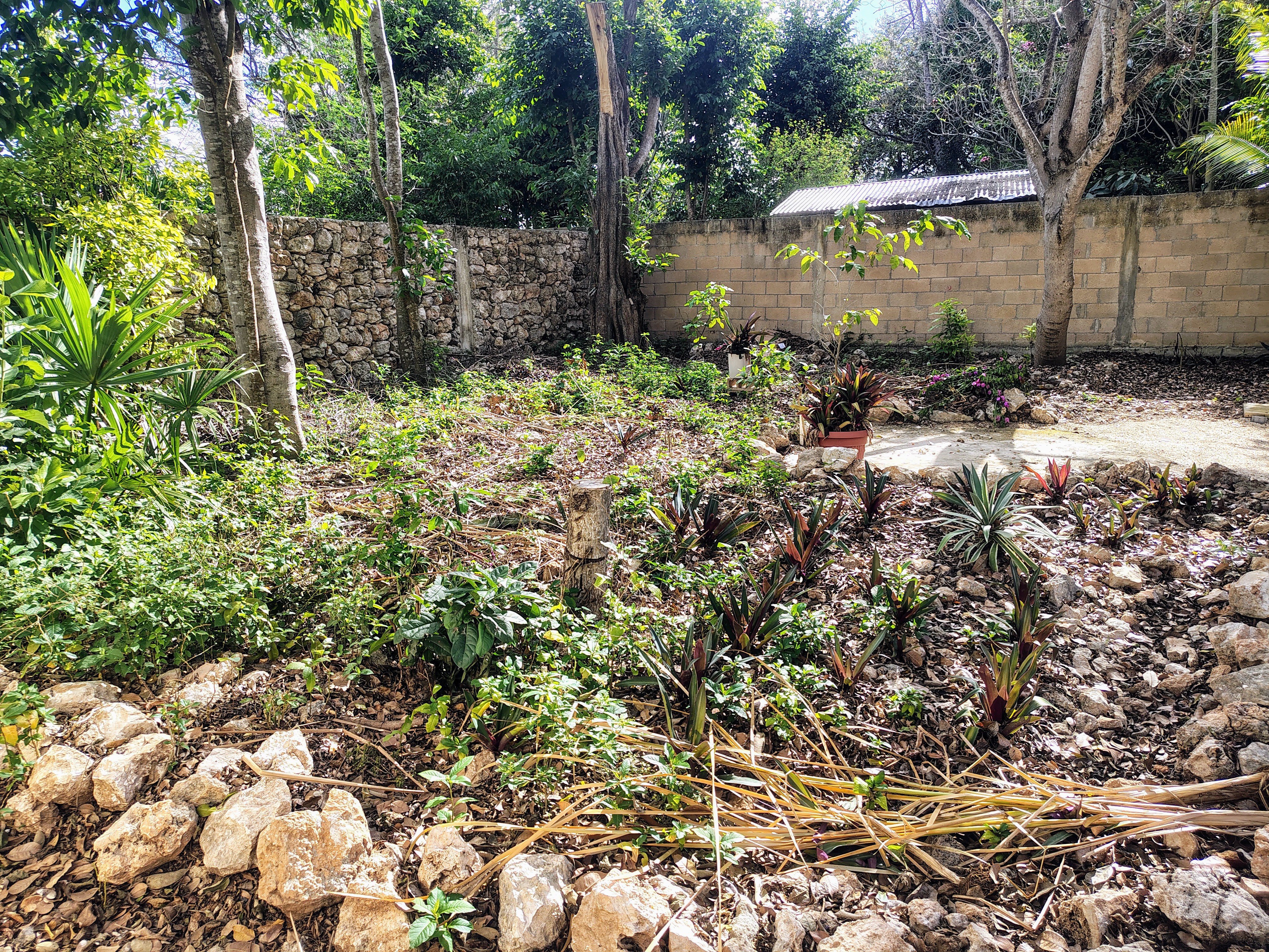 Thoughtfully Restored Dzoyaxché Historic Property