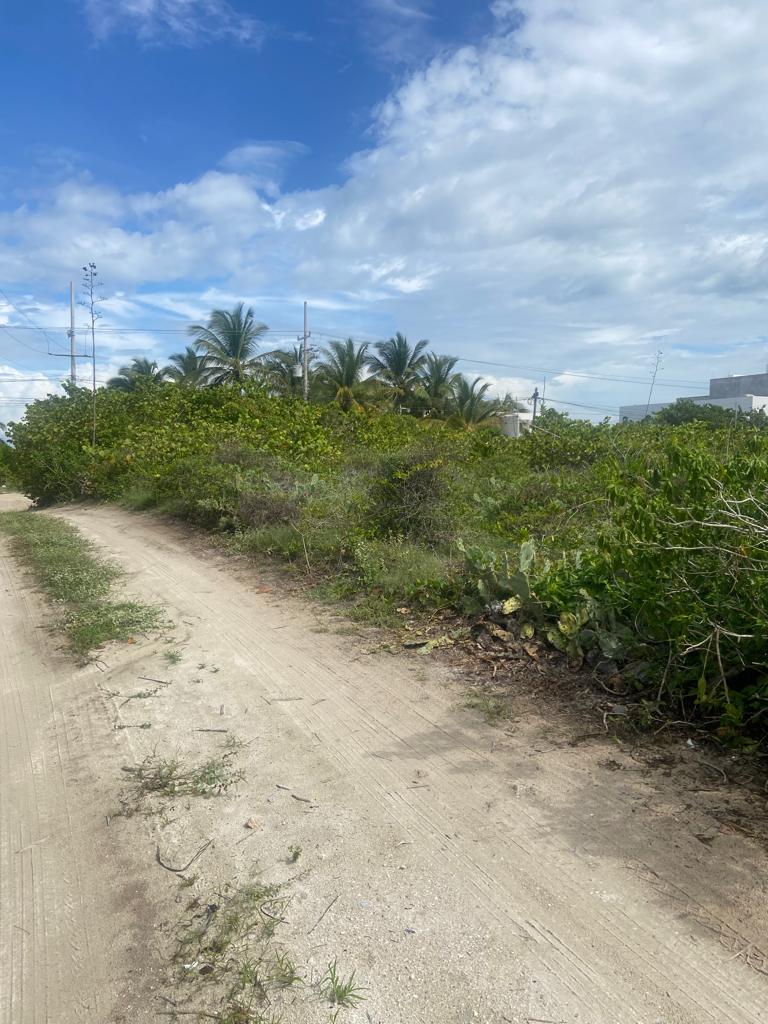 4 Lots 40 meters from the Sea