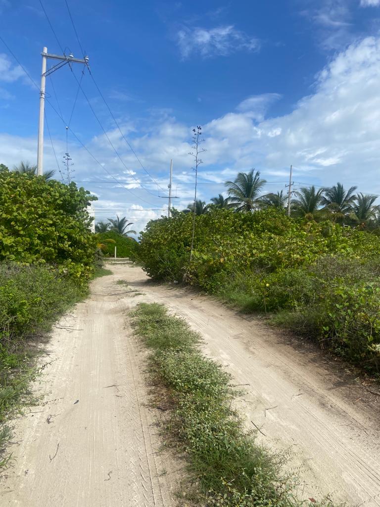 4 Lots 40 meters from the Sea