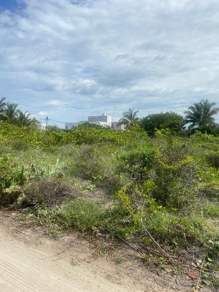 4 Lots 40 meters from the Sea