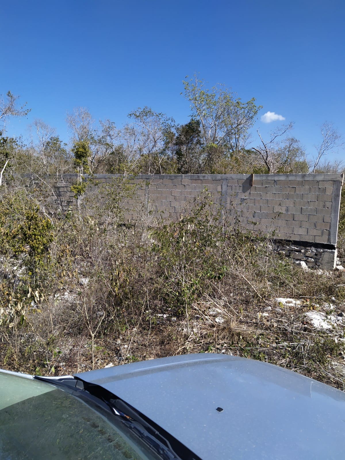 Lote a las afueras de Mérida