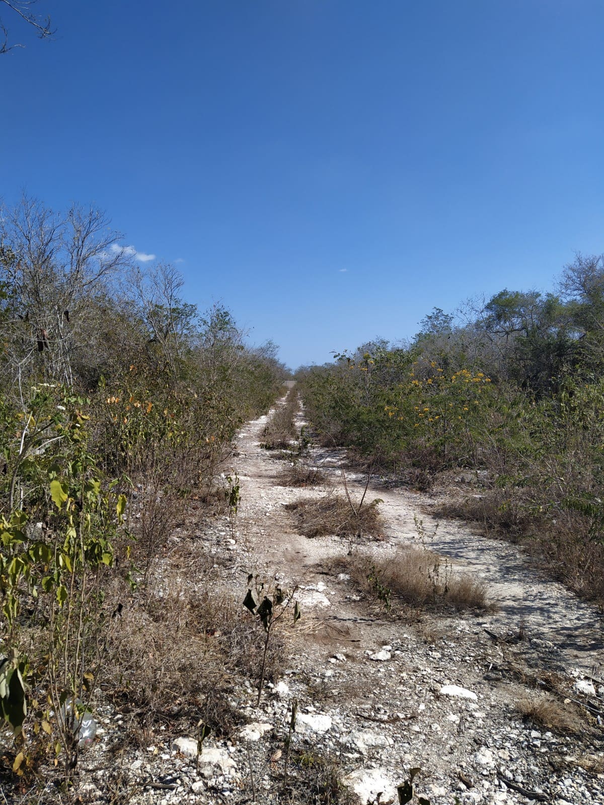 Lote a las afueras de Mérida