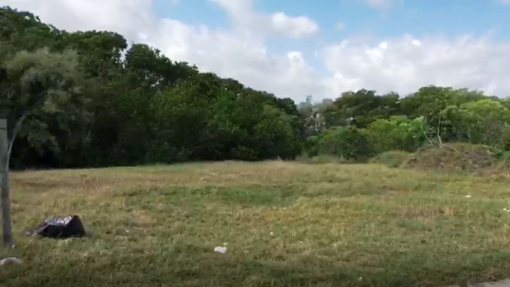 Beach Lot Opportunity II
