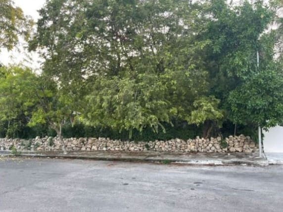 Lot in San Ramon Norte