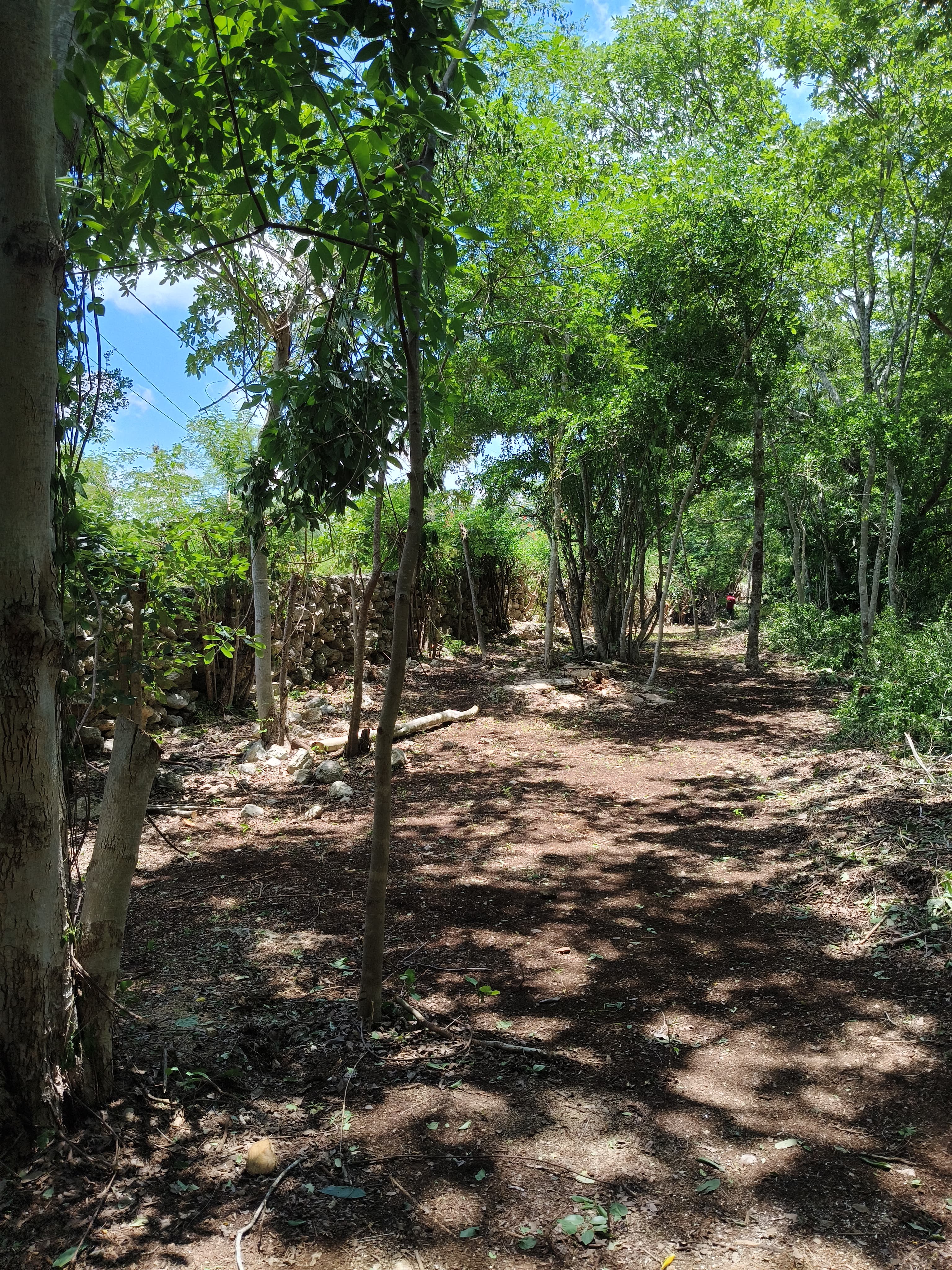 Los Árboles Izamal, Lot 1