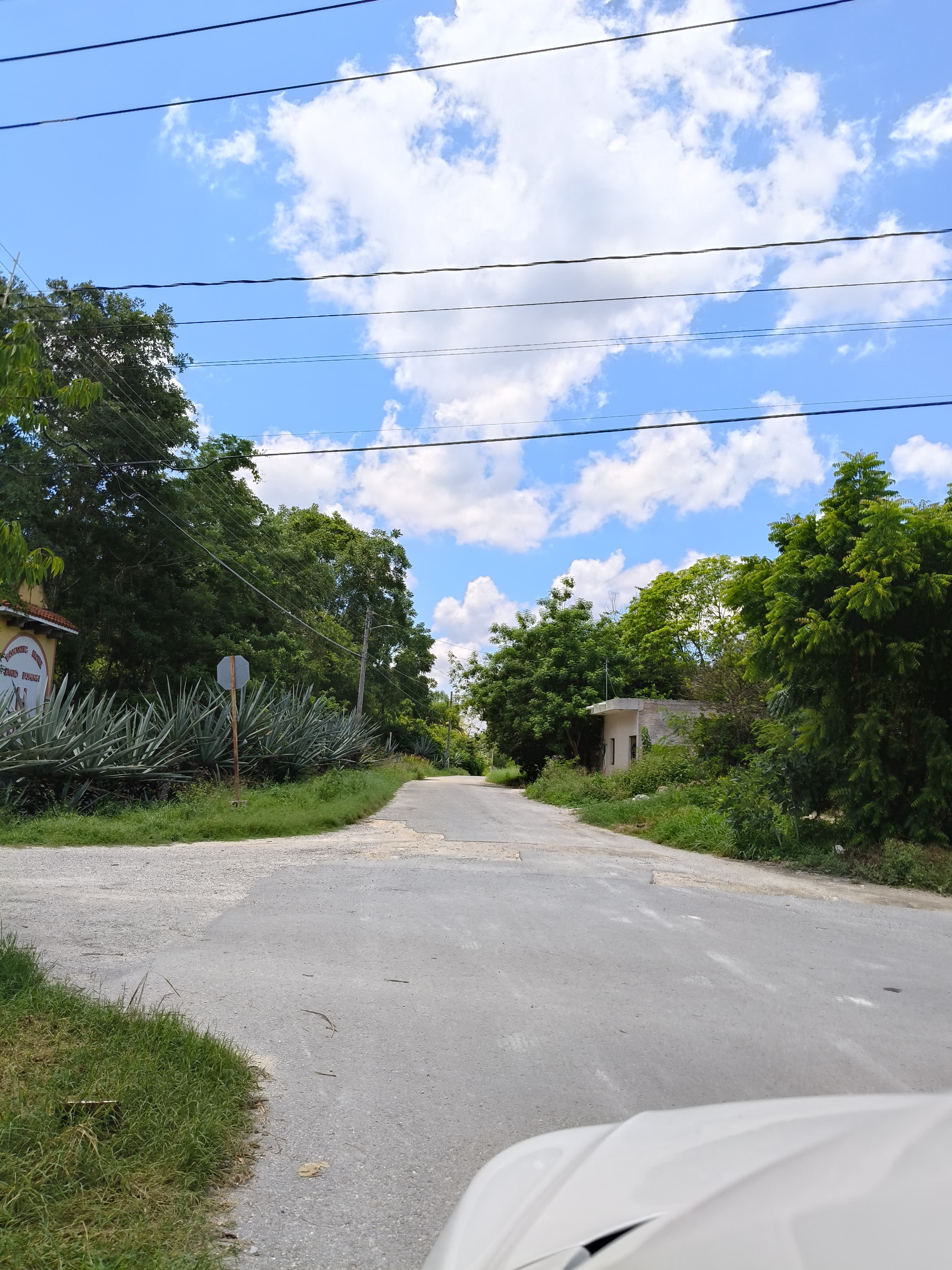 Los Árboles Izamal, Lot 2 - 6