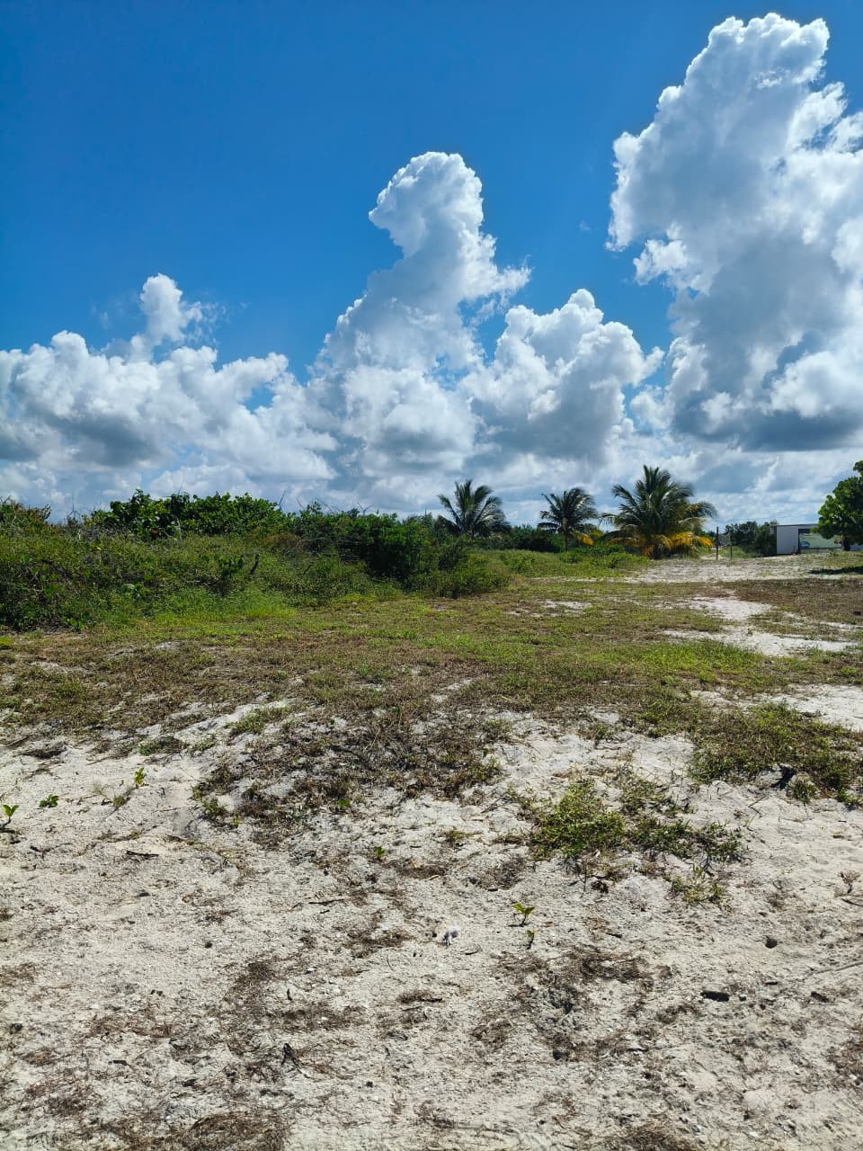 Invierte en la Riviera Yucateca