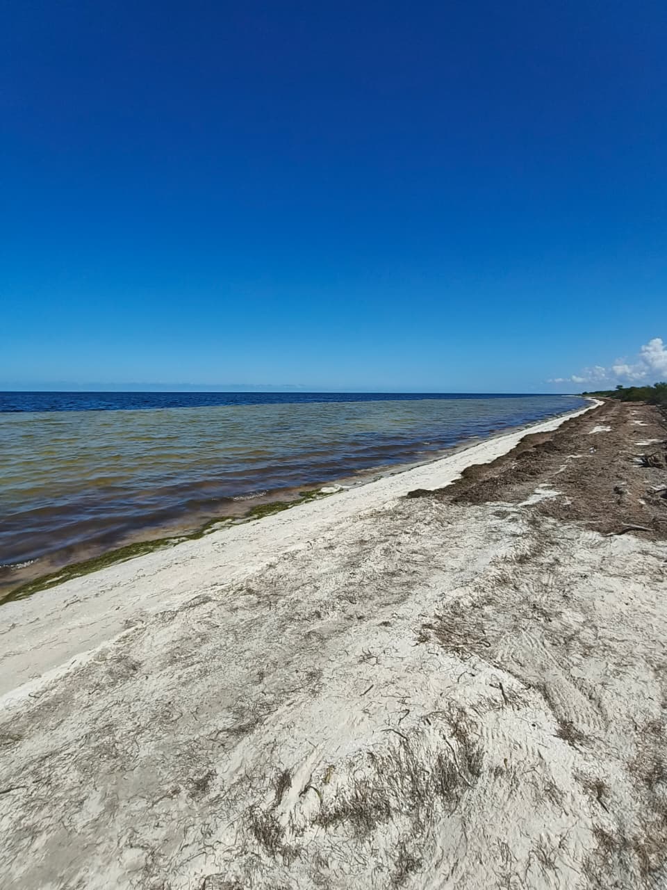 Invierte en la Riviera Yucateca