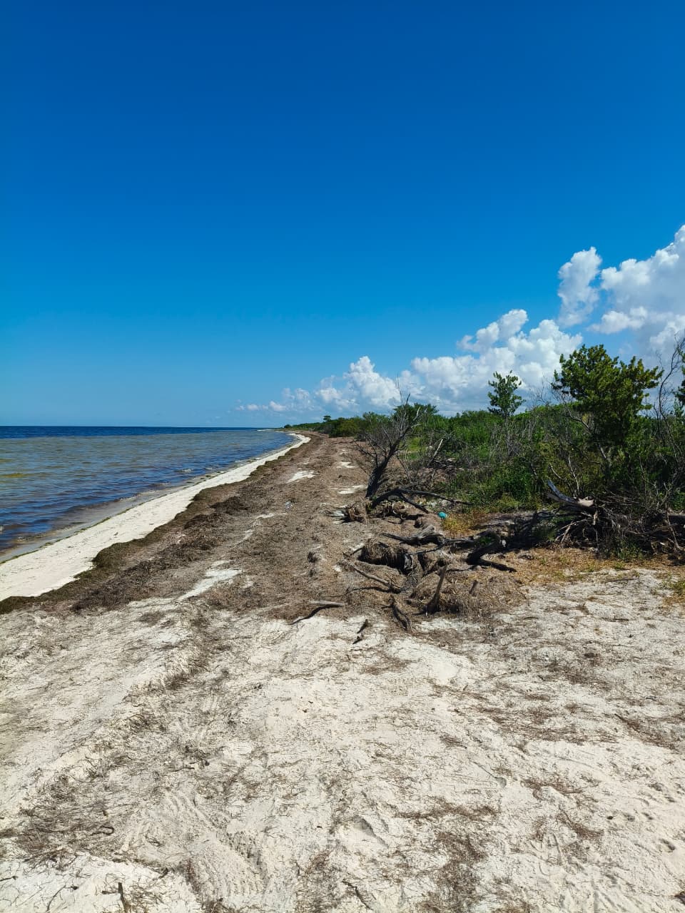 Invierte en la Riviera Yucateca