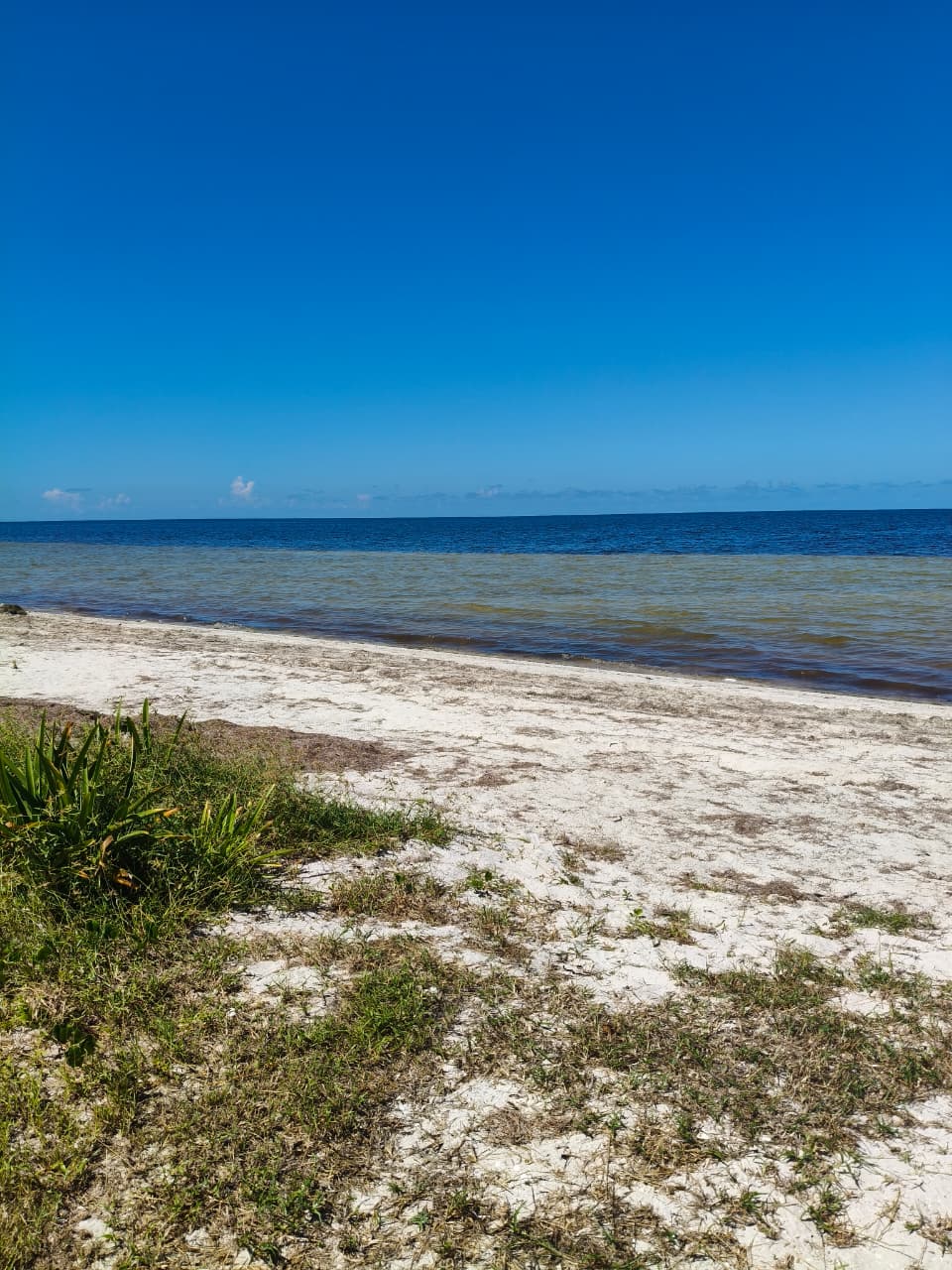 Invierte en la Riviera Yucateca