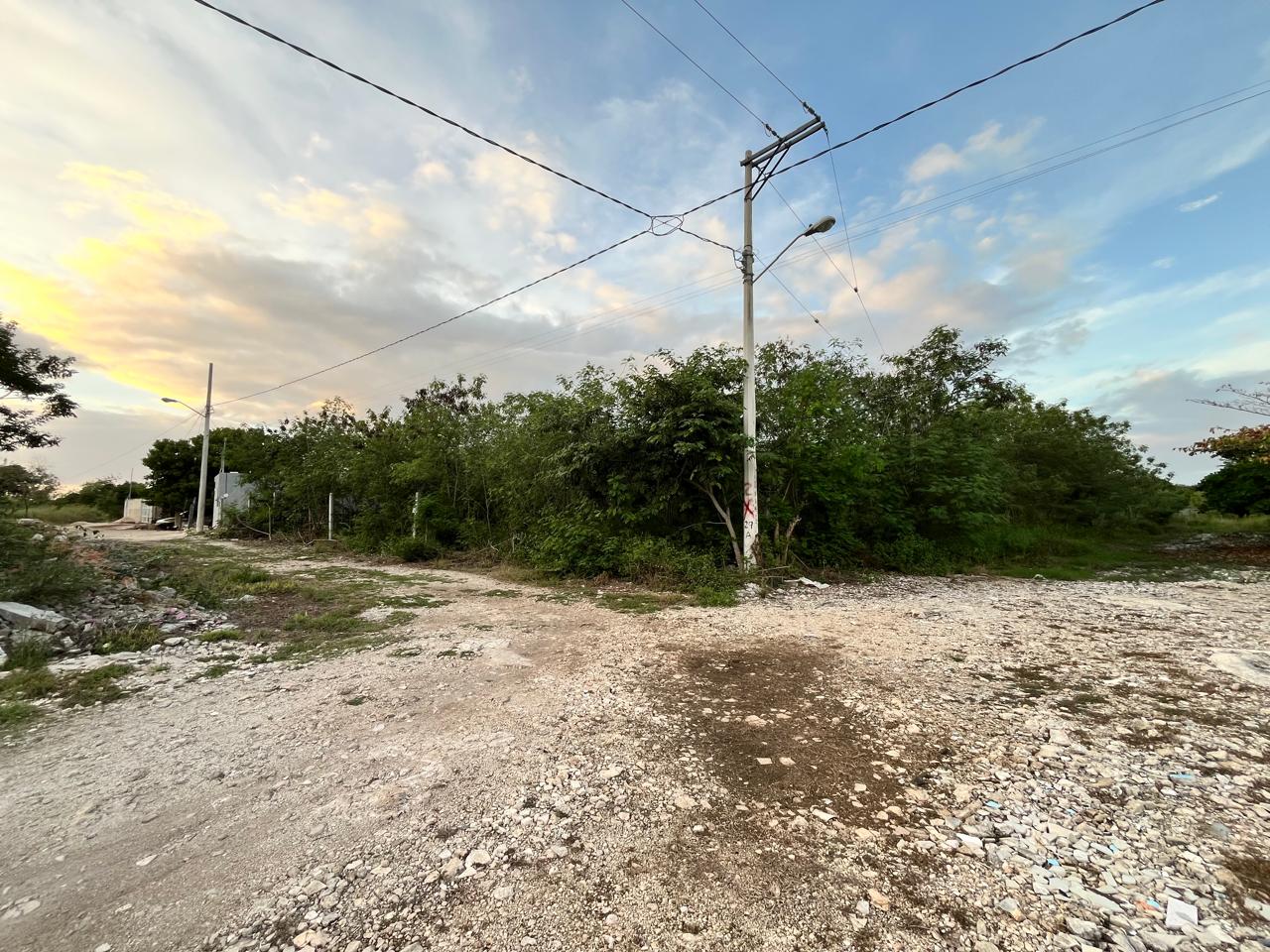 Lot for sale next to Real Montejo, Mérida