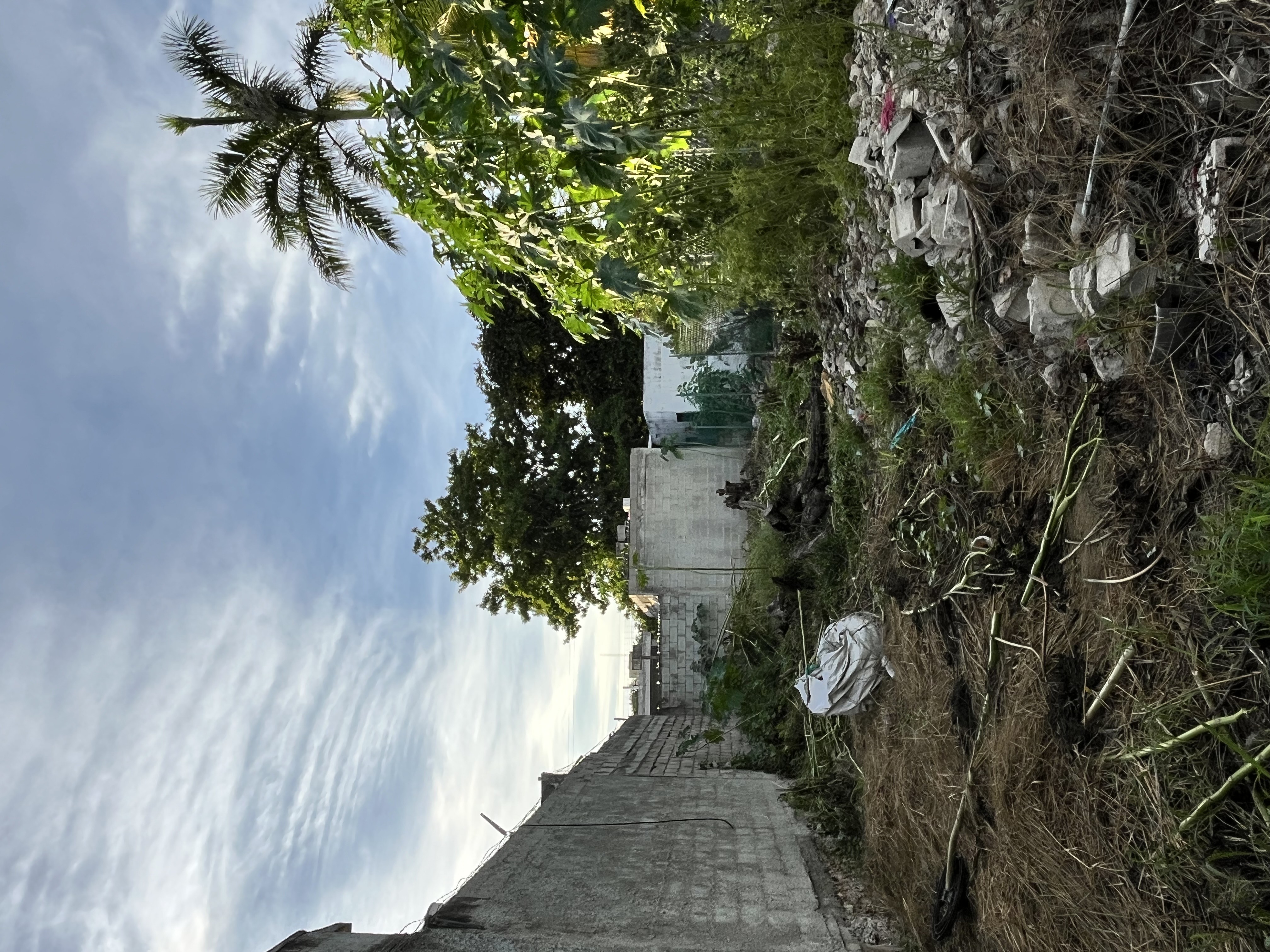 Lot near Galerias Mérida and Plaza Ther Harbor.