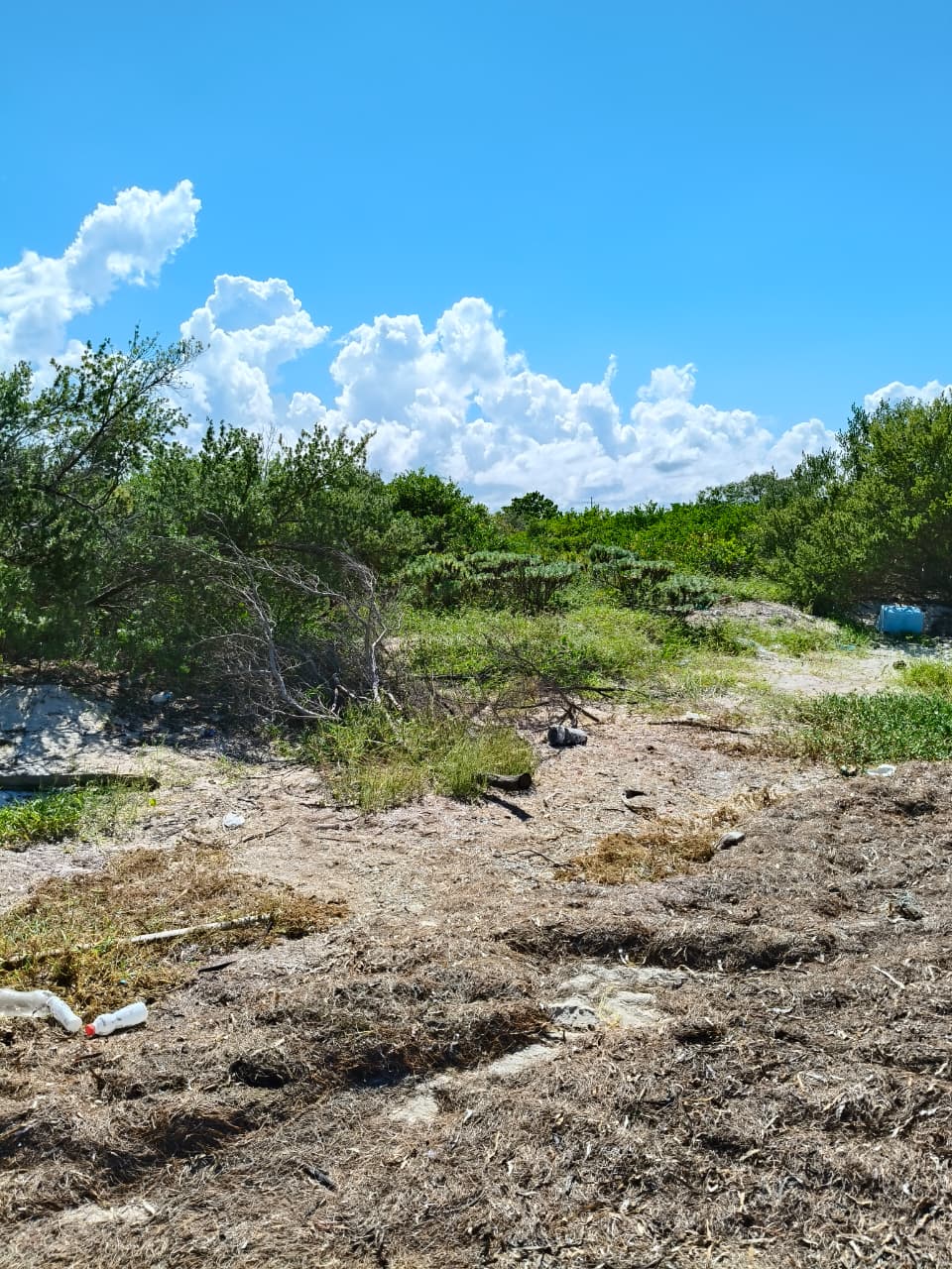 Facing the Sea in Chabihau