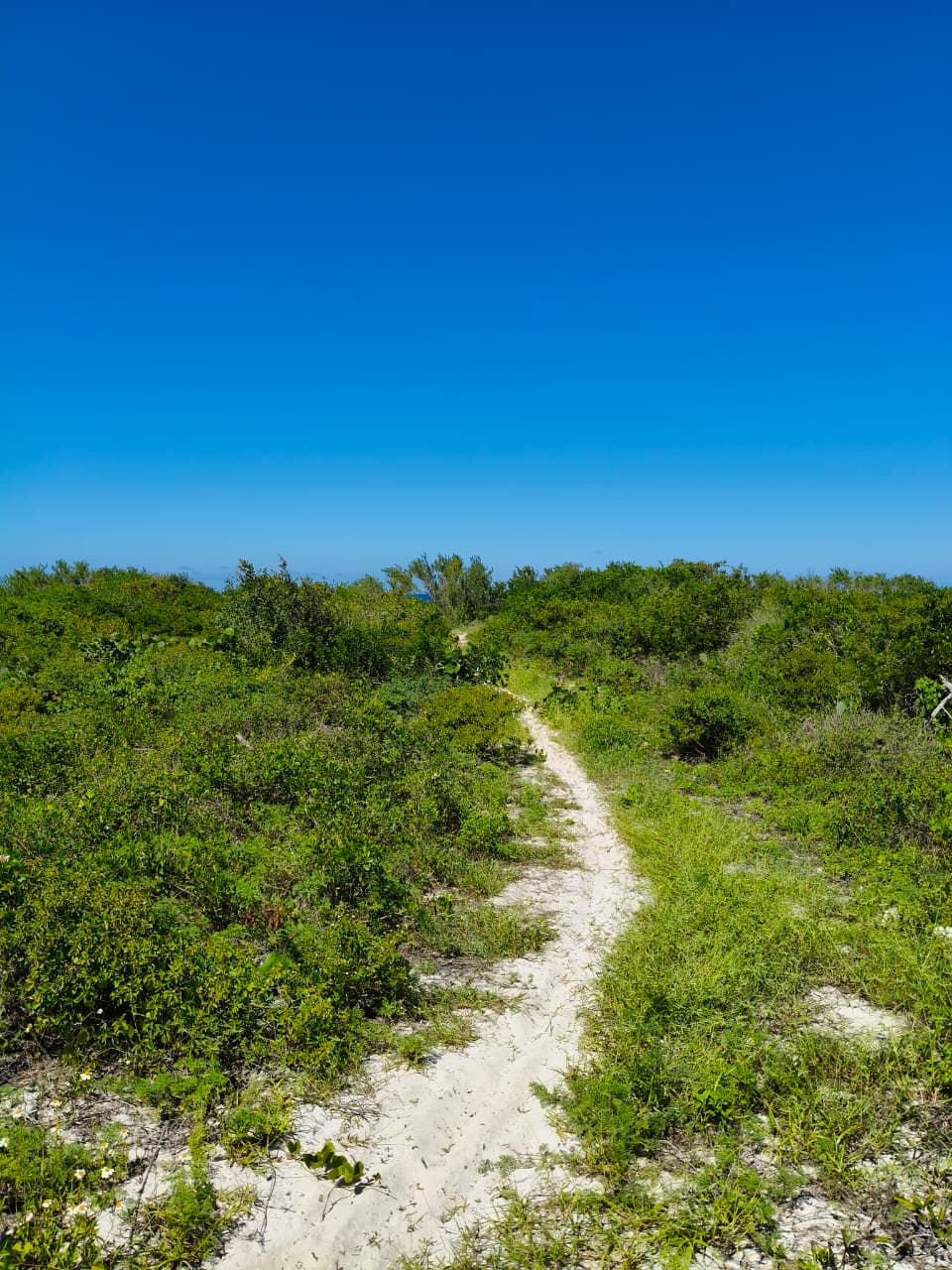Facing the Sea in Chabihau