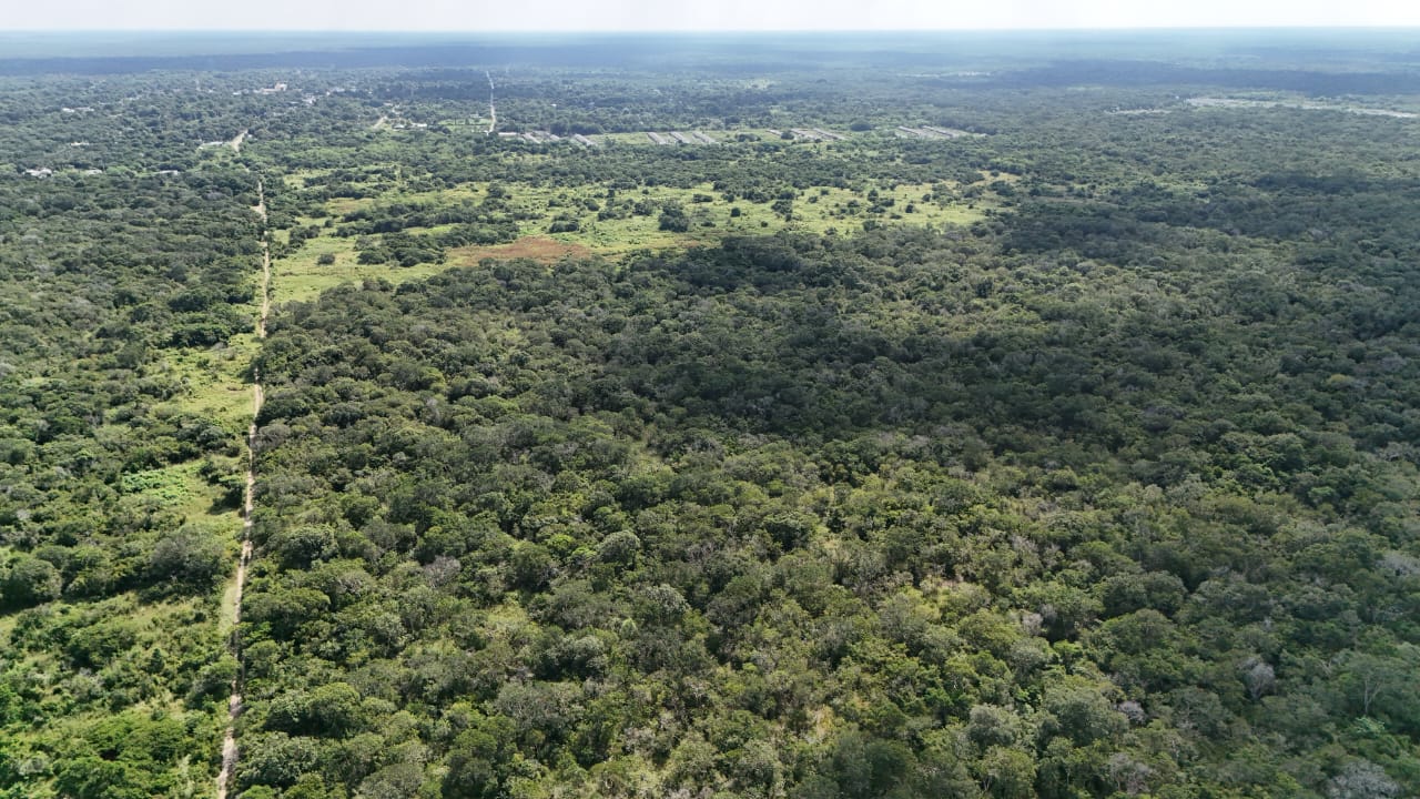 Lote inmenso en Tetiz