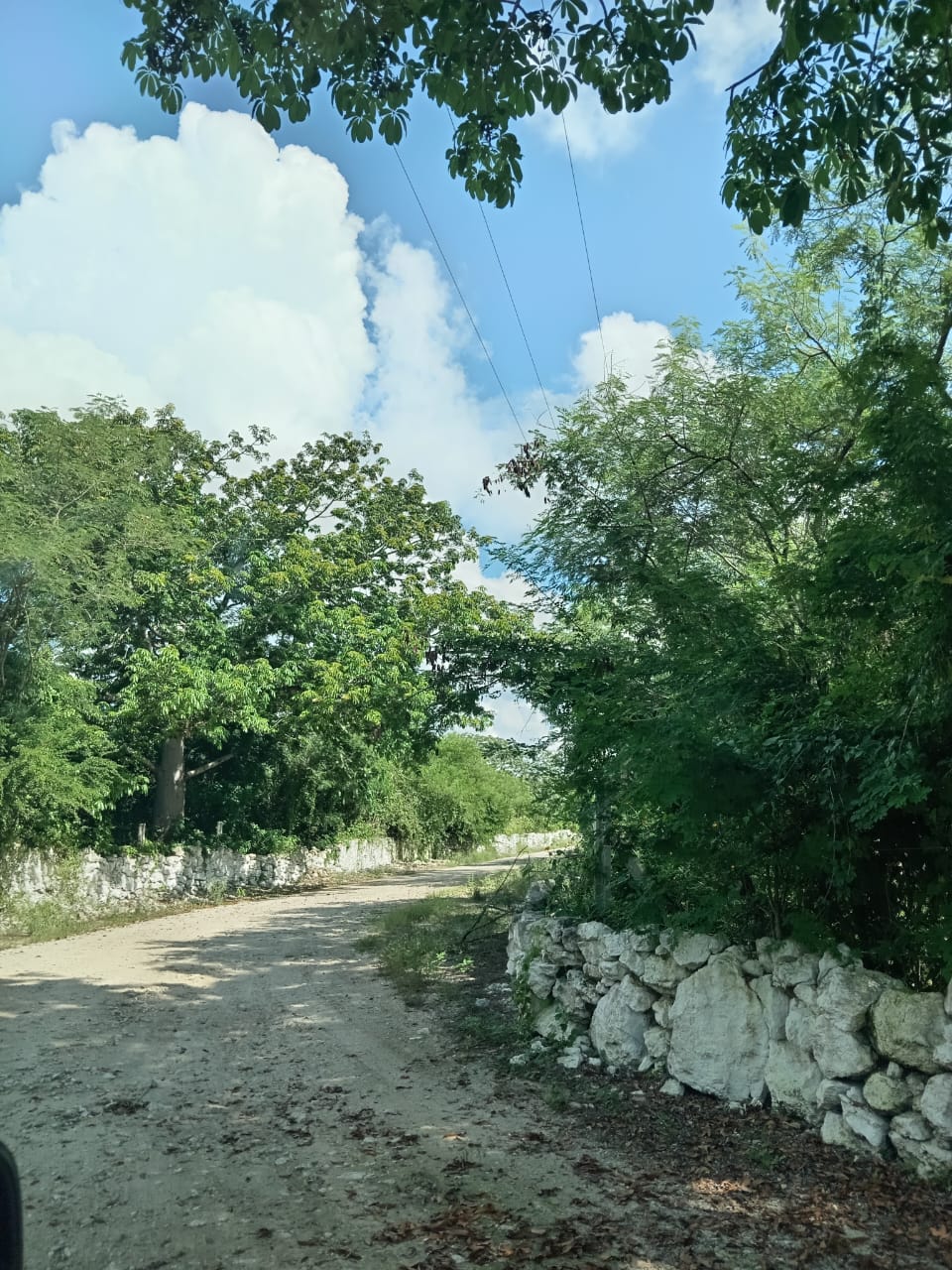 Lote inmenso en Tetiz