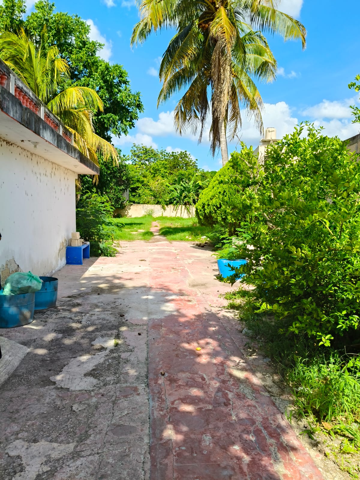 9655.23 sq. feet in Colonia Maya