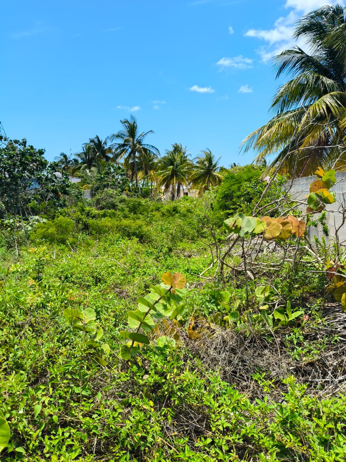 2nd Row Lot in Chuburná