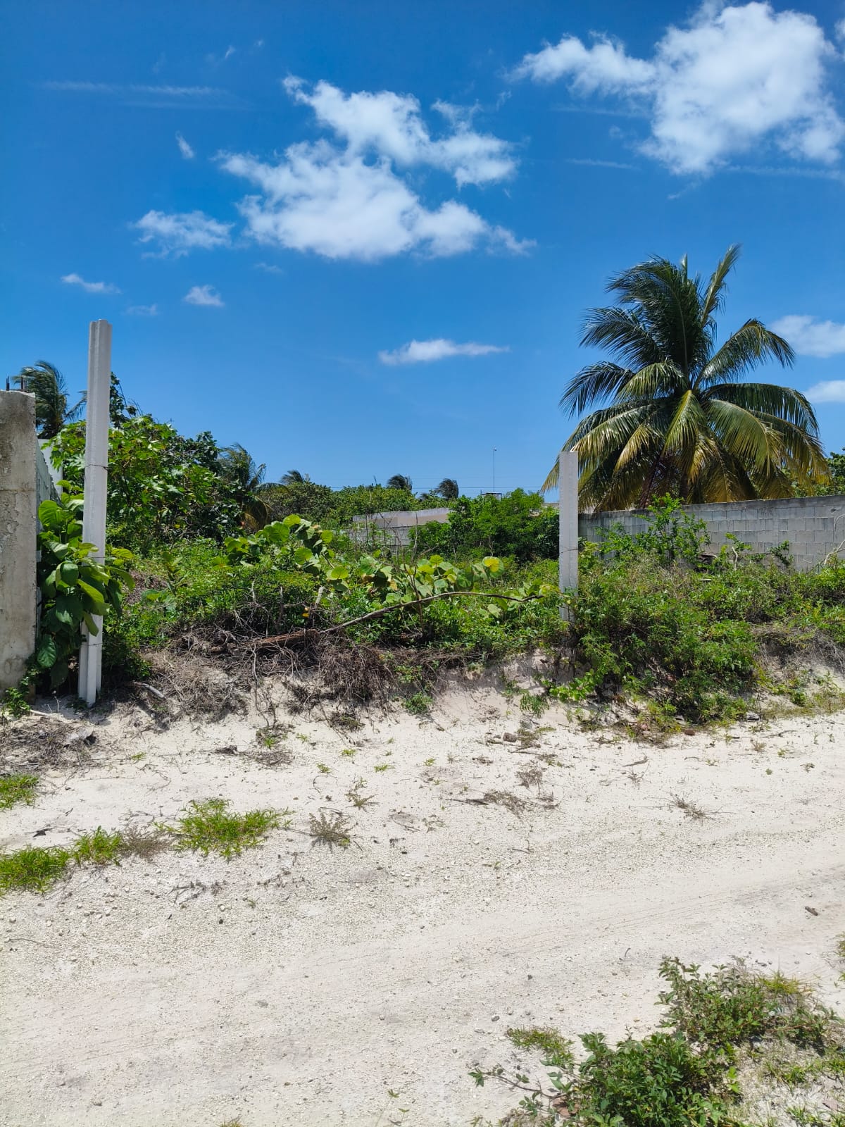 2nd Row Lot in Chuburná