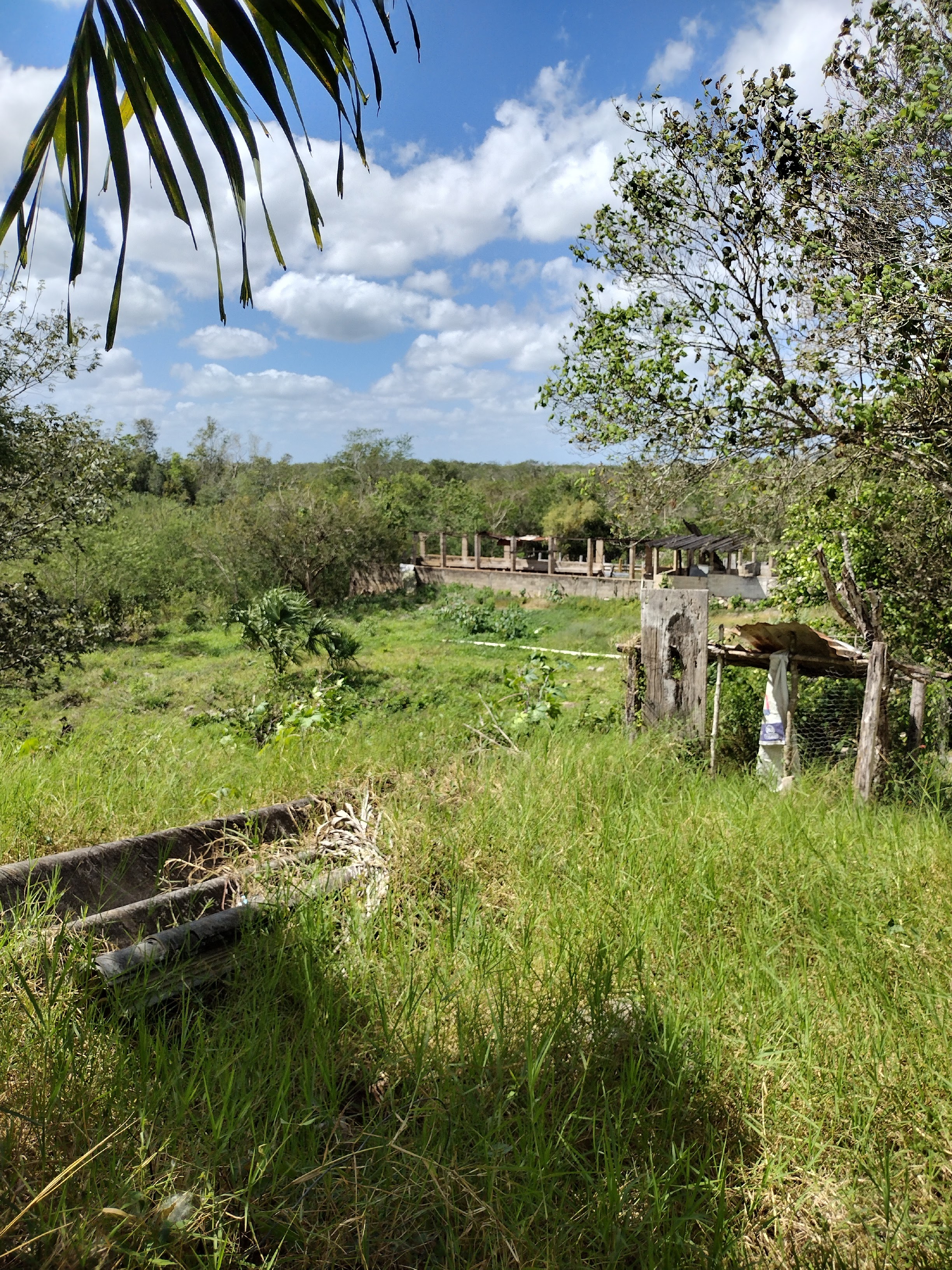All-in-One Investment near Chichen Itza