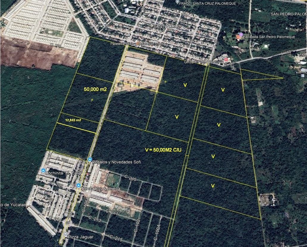 5 hectares in the south of the city