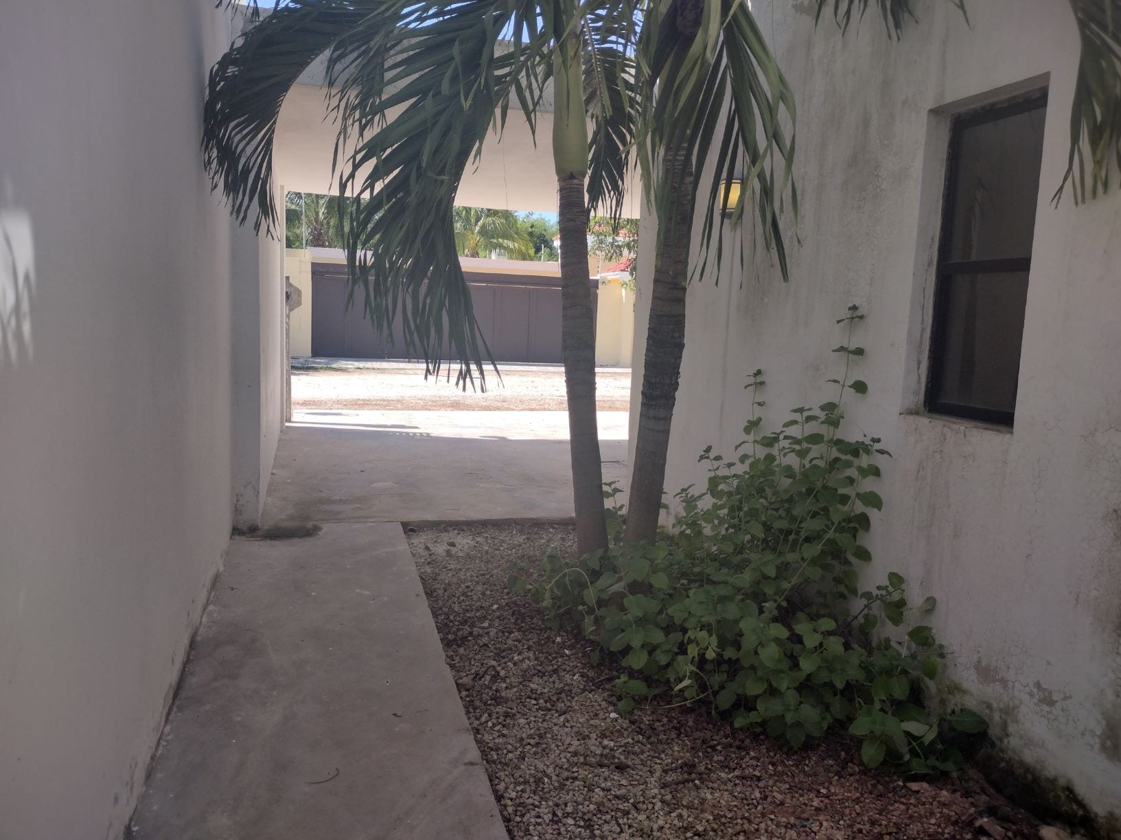 Casa Flamboyan