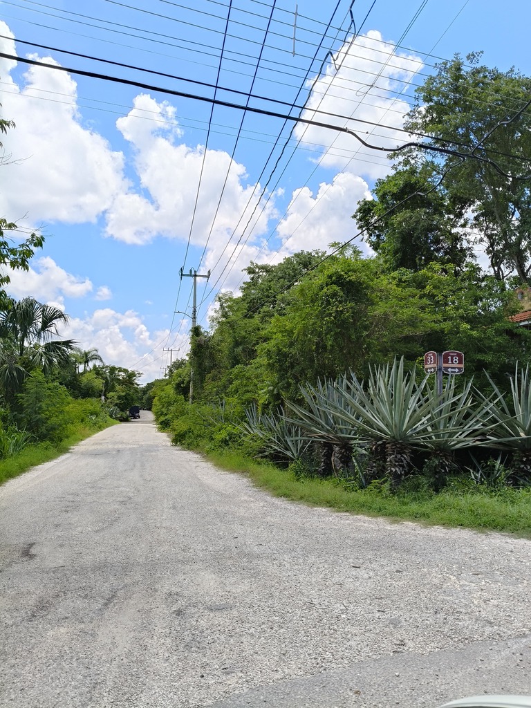 Los Árboles Izamal, Lot 2 - 6