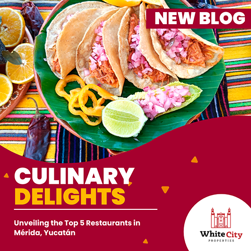 Culinary Delights: Unveiling the Top 5 Restaurants in Mérida, Yucatán